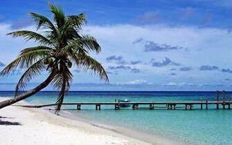 Playa De Roatan Isla La Bahia Honduras Wallpaper
