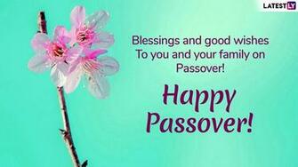 Passover Greetings Whatsapp Messages Gif Image Chag
