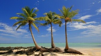 Madagascar Island Wallpaper