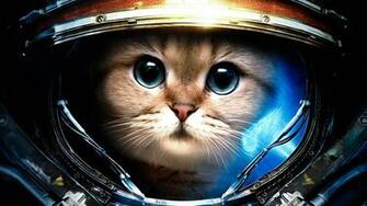 Astronaut Cat