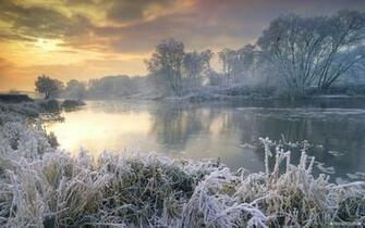 Wallpaper Winter Wonderland