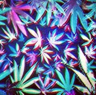 Showing Gallery For Colorful Weed Leaf