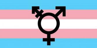 Trans Flag Fotolip Rich Image And Wallpaper