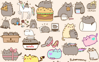 Details Cute Wallpaper Pusheen