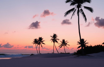 Pink Beach Sunset Wallpaper