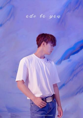 Hit Seventeen Mingyu Wallpaper Teahub Io