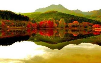 Autumn Forest Lake Wallpaper