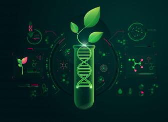 Genetic Engineering In Plants What It Is And Its Techniques