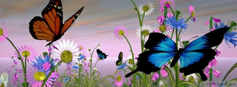 Timeline Covers Mana For All