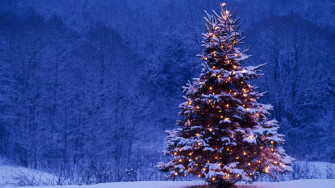 Merry Christmas Holiday Winter Snow Beautiful Tree Gift Santa Wallpaper