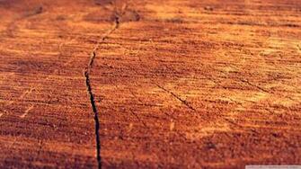 Wallpaper Log Grasscloth