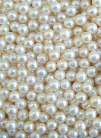 Pearl Wallpaper Pearls And