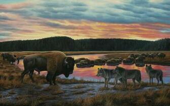 Yellowstone Crop High Quality And Resolution Wallpaper