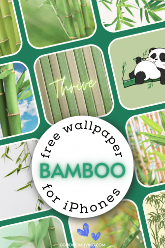 Bamboo Wallpaper iPhone HD For Mobile