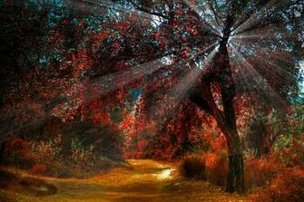 Earth Scenic Wallpaper Wallpoper