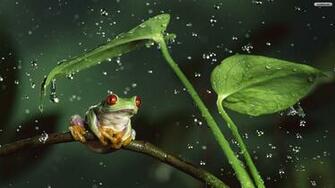 Beautiful Wallpaper Rain For Your Desktop
