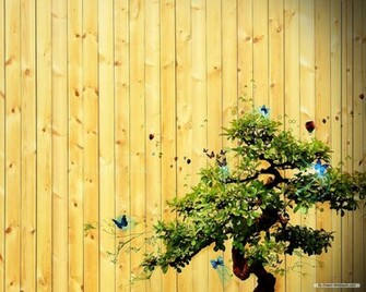 Art Wallpaper 3d Desktop