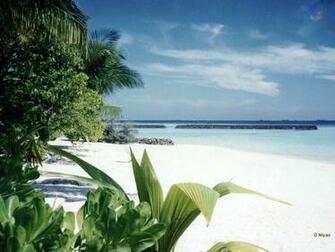 Tropical Beach Wallpaper Desktop