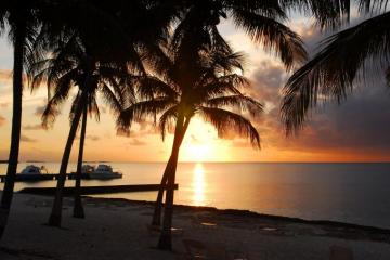 Sunset Beach Seashore Paradise Tropical Sand Sea