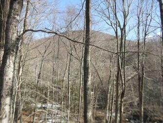 Shultis Lane West Shokan Ny Potter Realty