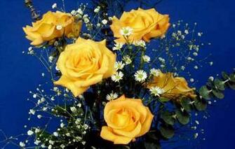 Yellow Rose Flower Wallpaper