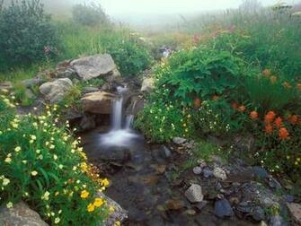 Mystical Waterfalls Widescreen Wallpaper