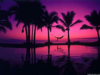 Purple Background Wallpaper HD