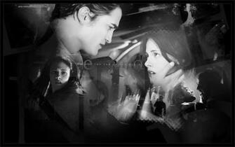 Twilight Saga Wallpaper Twilighters