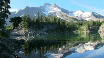Back From Backpacking Feast Your Eyes Hoshana Rabbah