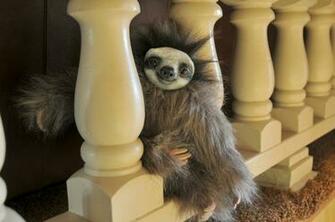 Handmade Baby Sloth By Mooki003