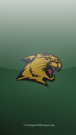 Northern Michigan Wildcats iPhone Wallpaper