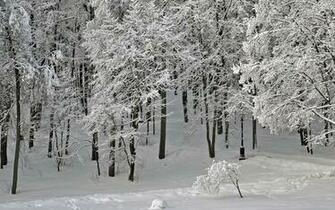 Red Train In The Snow Storm Wallpaper Corners
