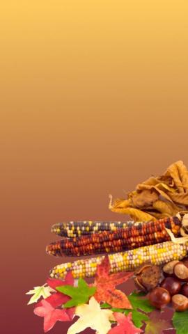 Thanksgiving Wallpaper Background On