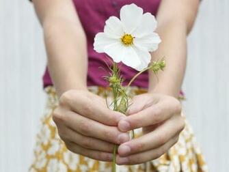 For You My Dear Friend Wallpaper