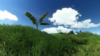 Far Cry Wallpaper