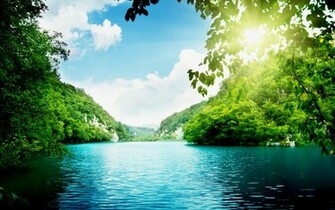 Sunny Day Wallpaper