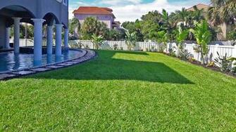 Creating A Tropical Backyard Landscape For Pool Home In St Pete