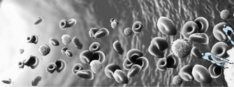 Integrins In Immunity University Of Helsinki