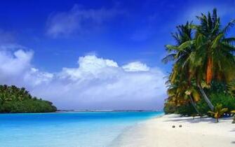 Plage Arbre Tropical De C T HD Wallpaper Fond D Cran
