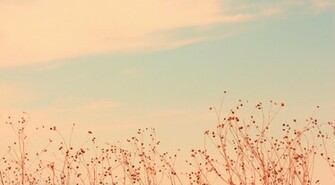 Soft Wallpaper Desktop Cool Walldiskpaper