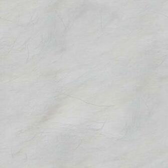 White Fur Subtle Seamless Tile With Thin Dark Hairs My Cat S