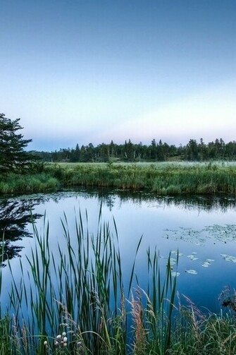 Diet Side Effects Set Of Nature HD Wallpaper For Your iPhone Enjoy