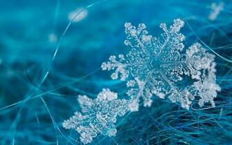 Snowflake Wallpaper Background