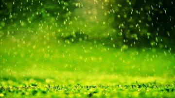 Rain Computer Wallpaper And Background Of