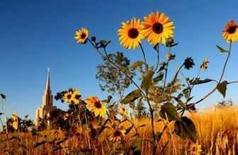 Lds Temple Desktop Wallpaper Oquirrh Mountain By