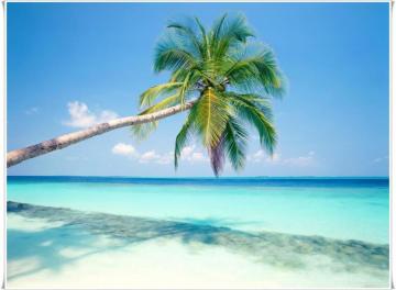 High Quality Goa Beach Wallpaper Full HD Pictures