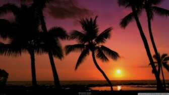Tropical Beach Sunset Wallpaper