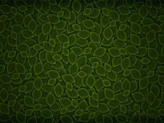 Green Wallpaper