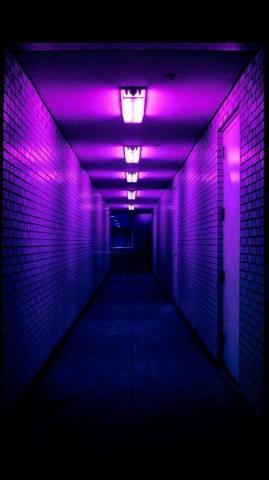 Wallpaper Purple Em Papel De Parede Roxo Roxos