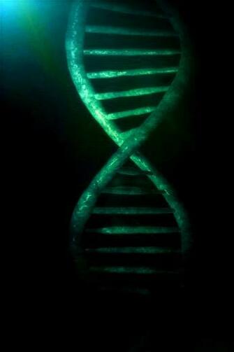 Dna Models Projects HD Wallpaper Car Pictures